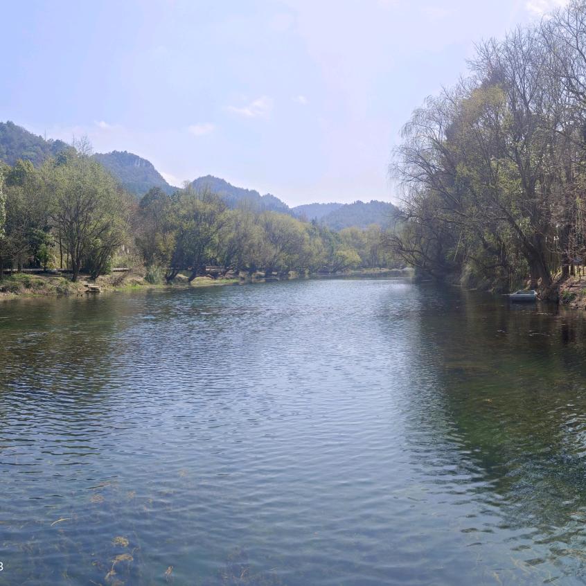 陈氏比亚Chen Shibia