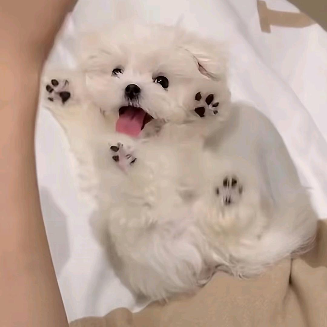啦啦啦123456789