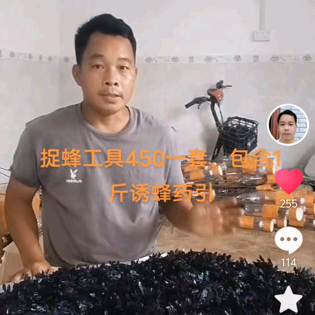 南宁捕蜂哥