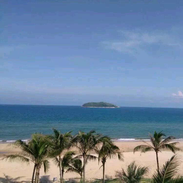 半夏微凉