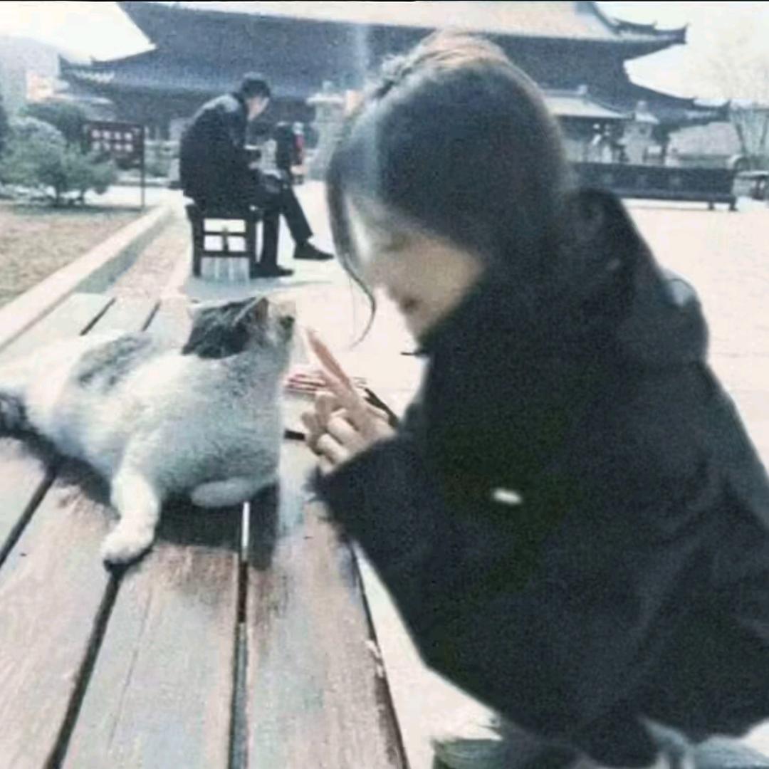 星语心愿
