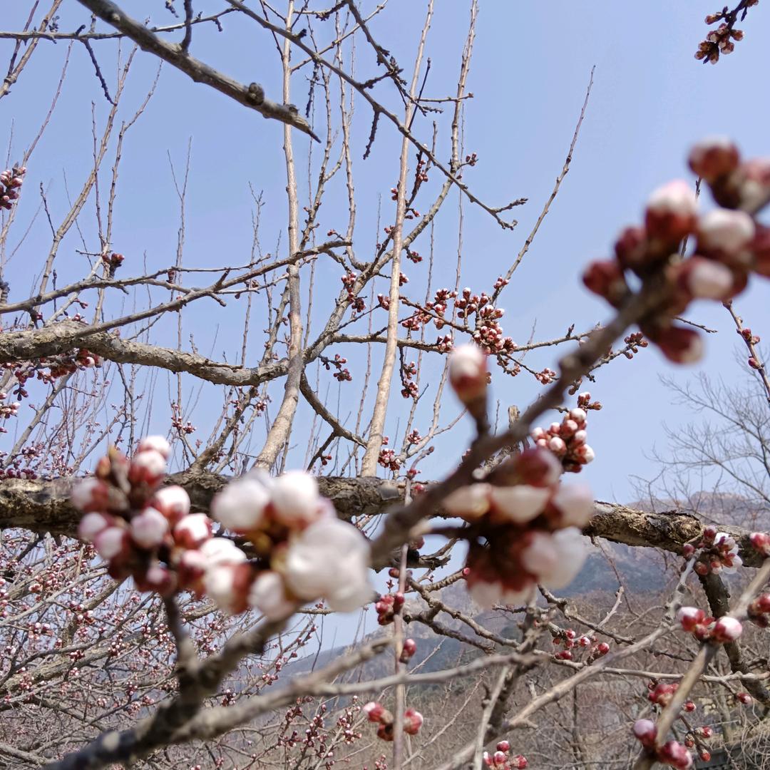 蓝天