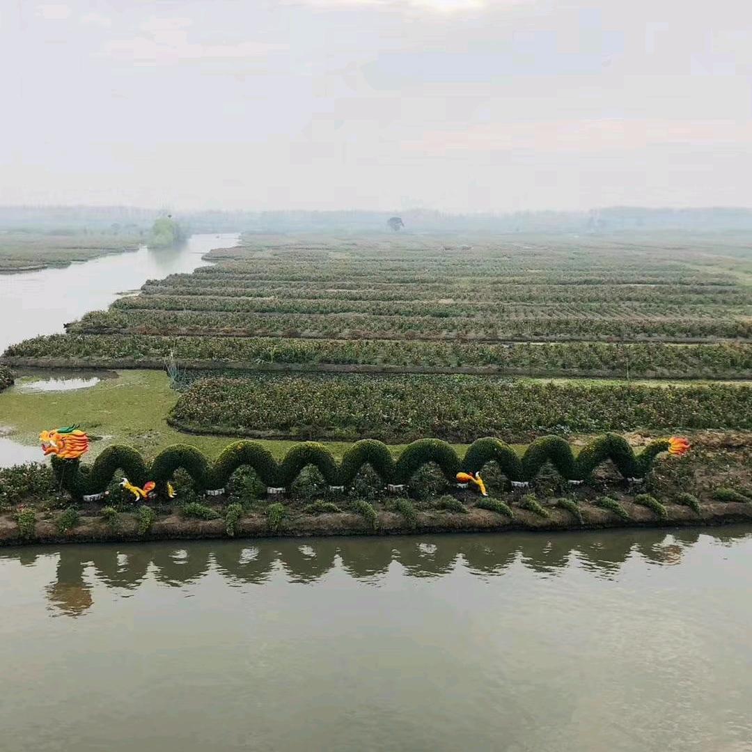 兴化千垛