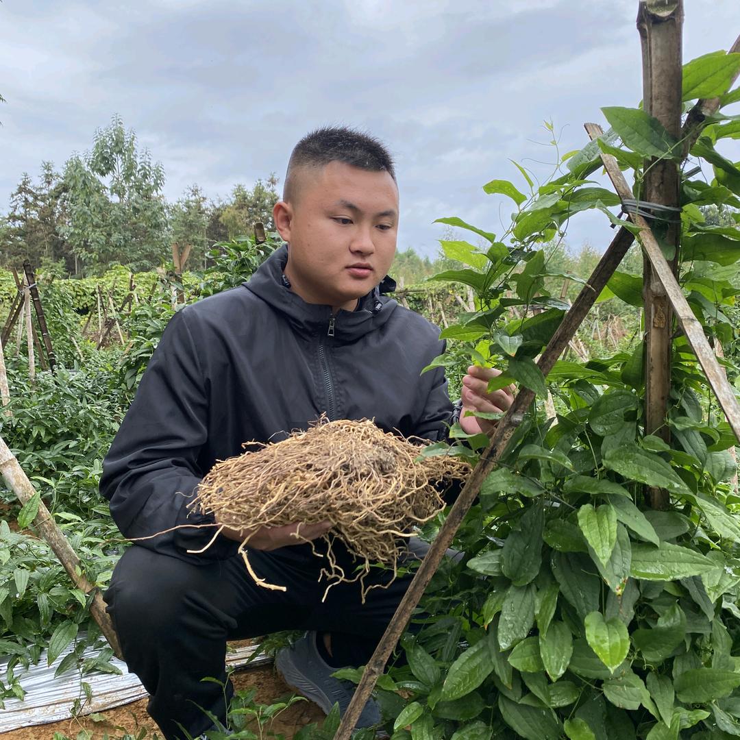 做农业的小赵