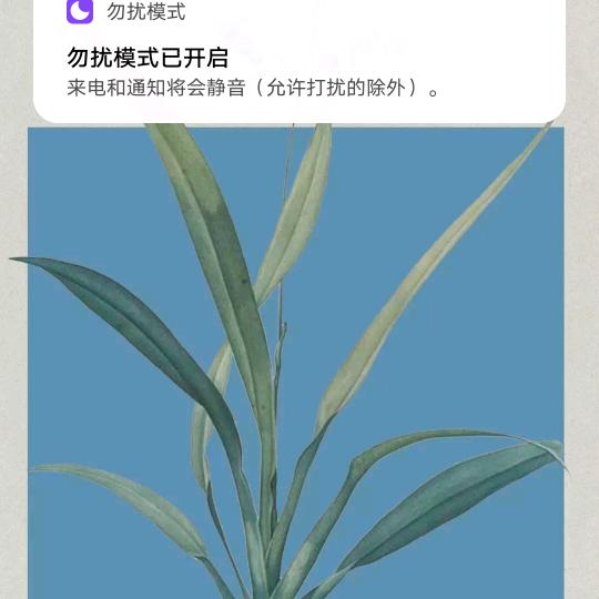 走来看看