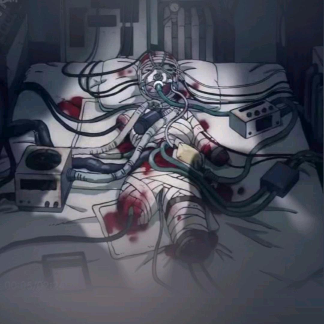 泡在福尔马林里