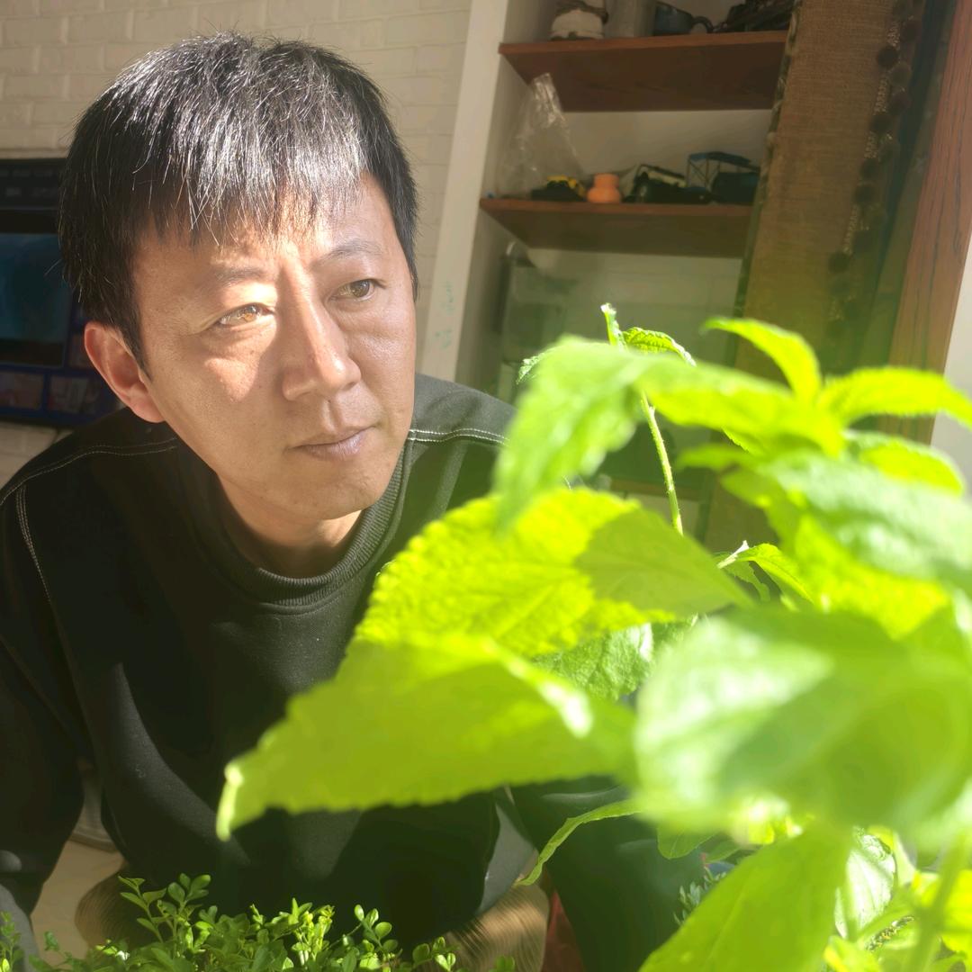 植悟物语
