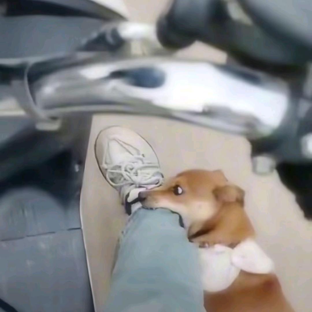 热心市民邓先森