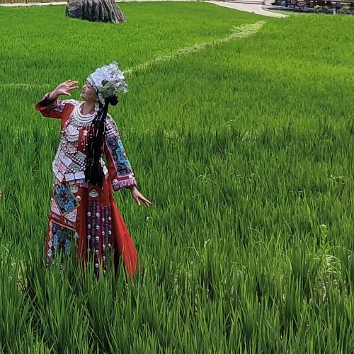 葡仙紫衣