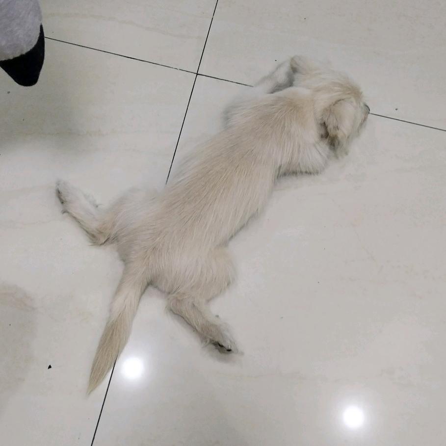 程序猿目前正在不正常