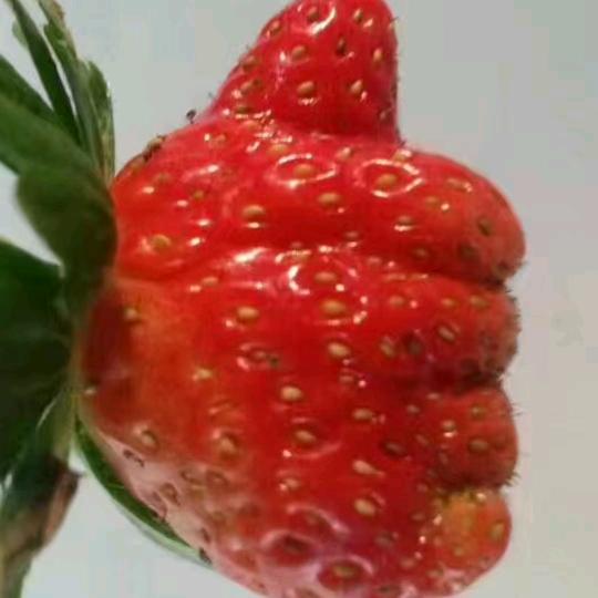 淡然🎤（早上8:50）哦