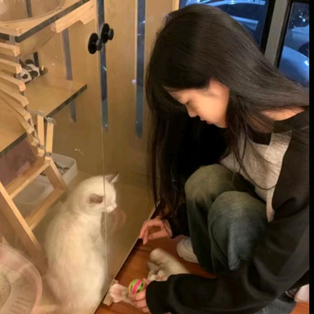 陈劲生.