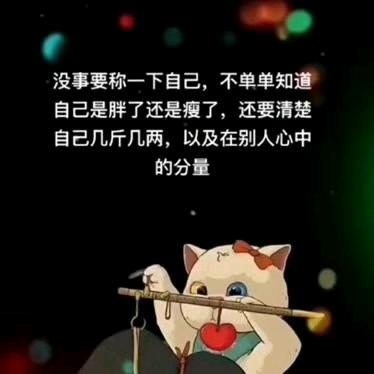 不谈过往