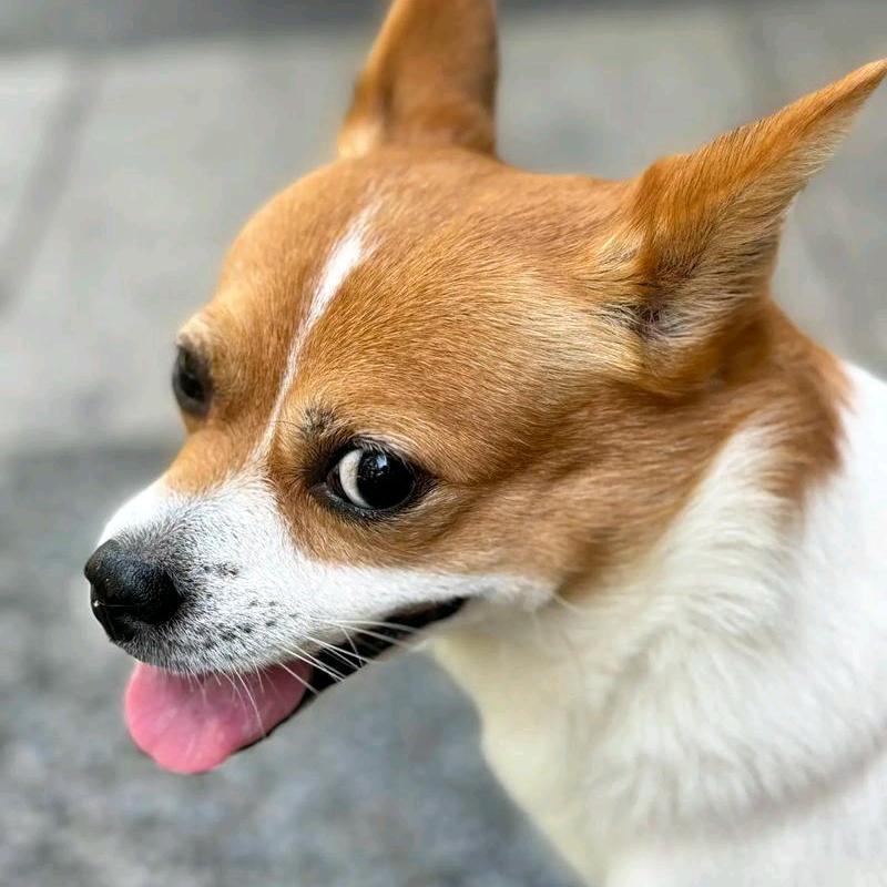 。。。。。。。。