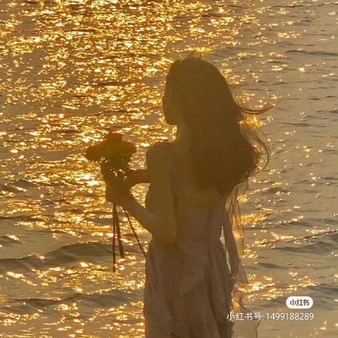 🦁喵了个咪🦁