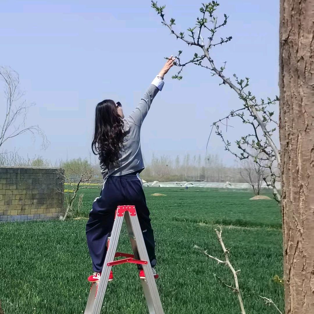 @盈盈🍀