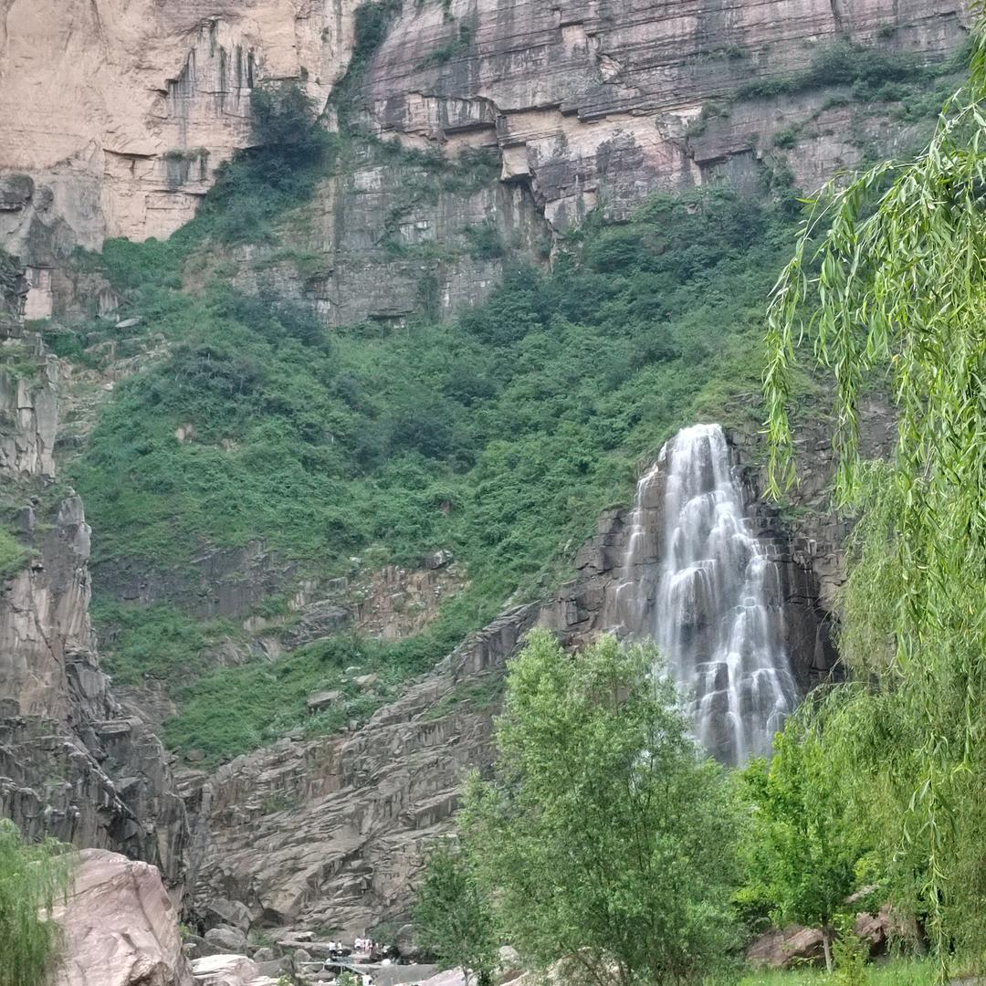 简约     1