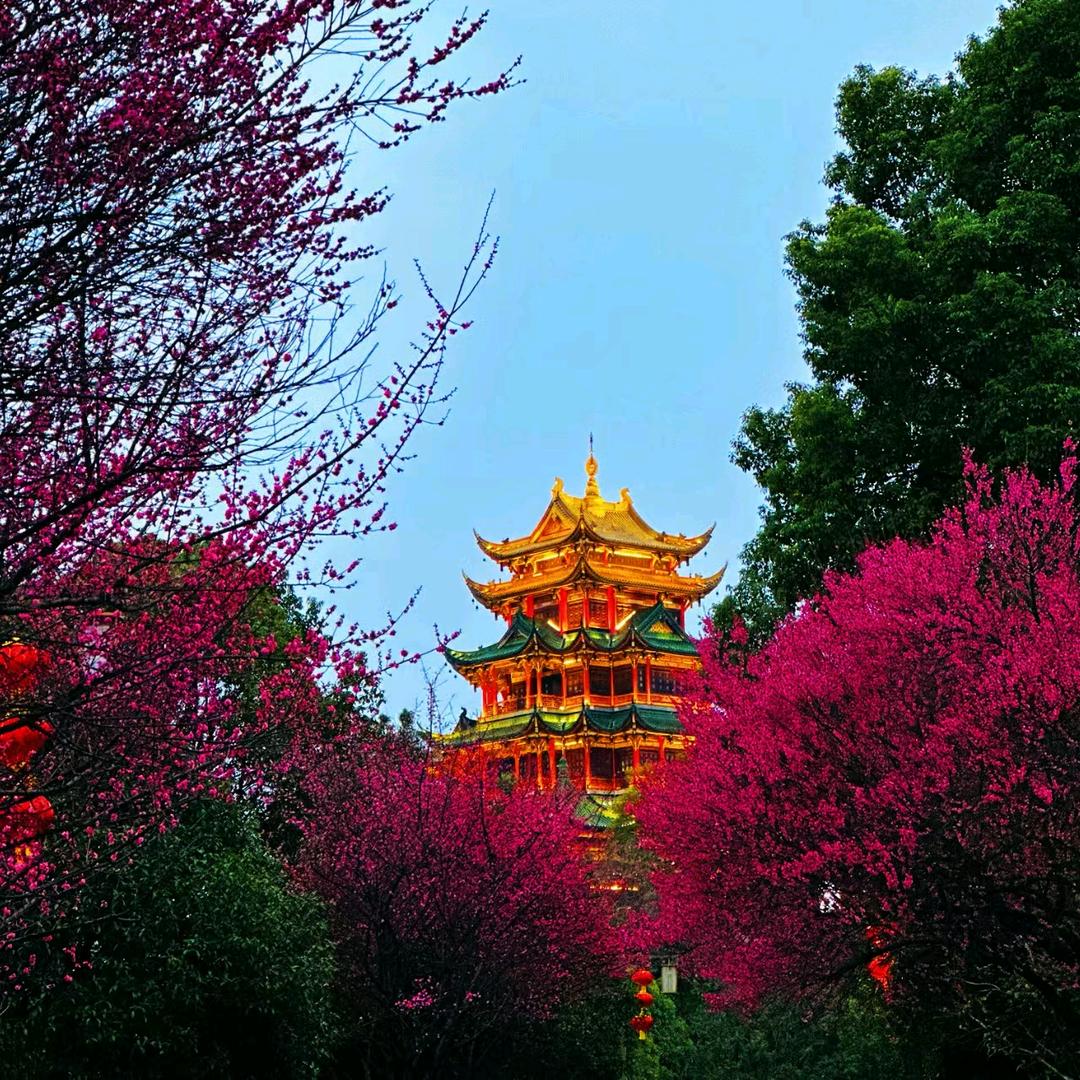 小粥特价攻略