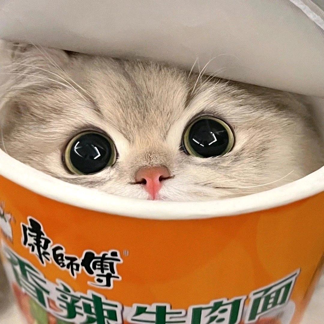 月下