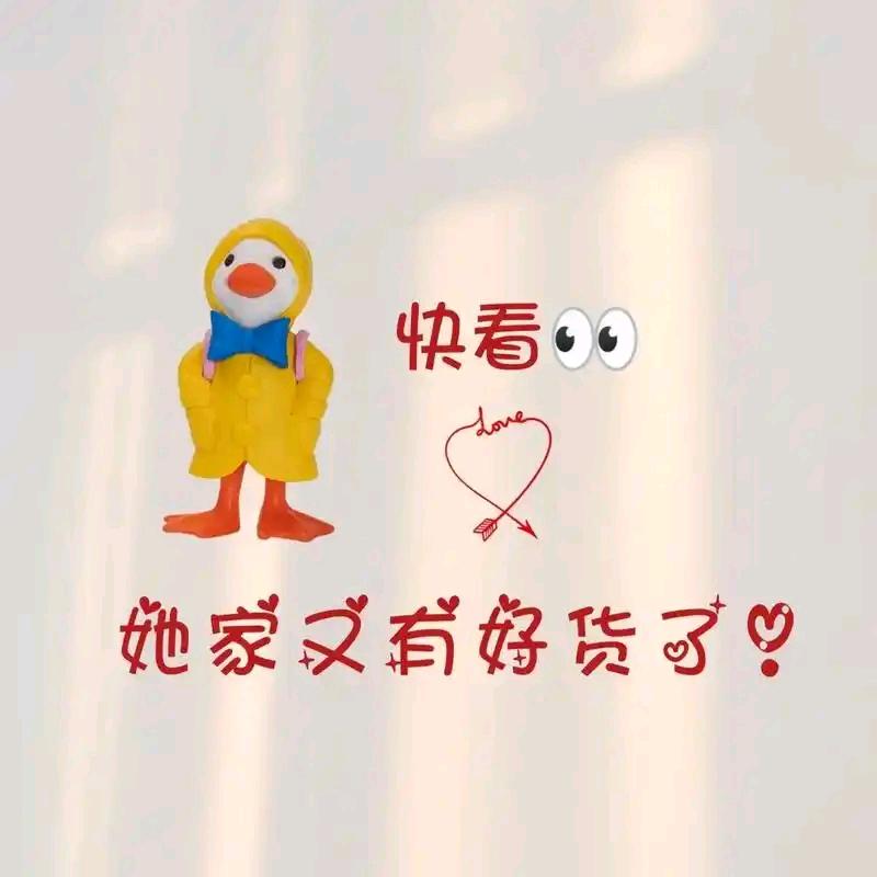 ✨精品小橱窗