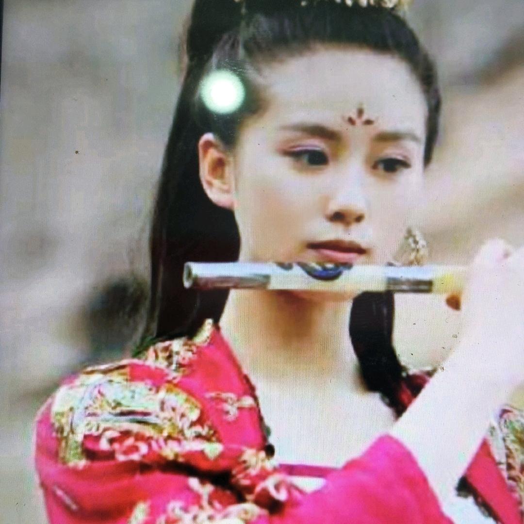 蝴蝶飛，群主