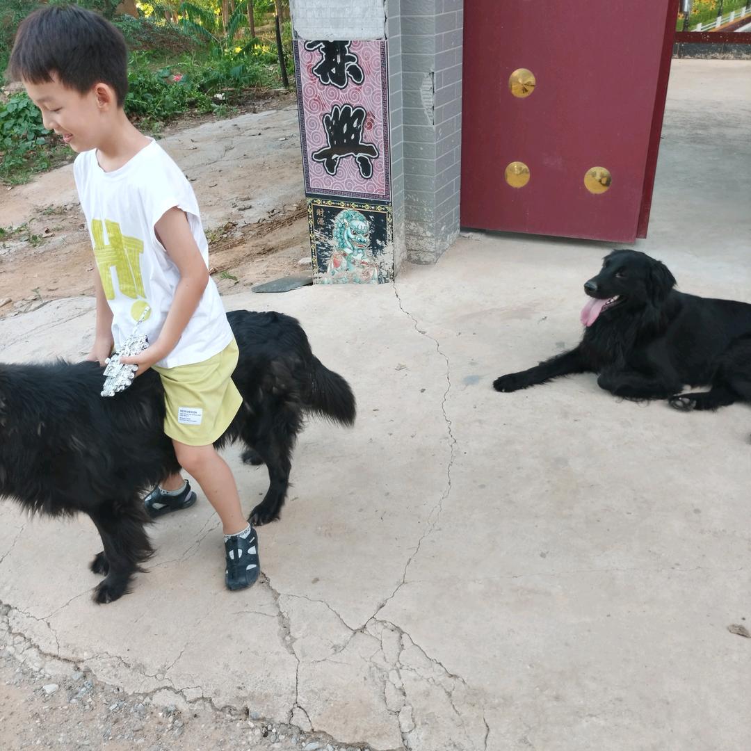狼🐺