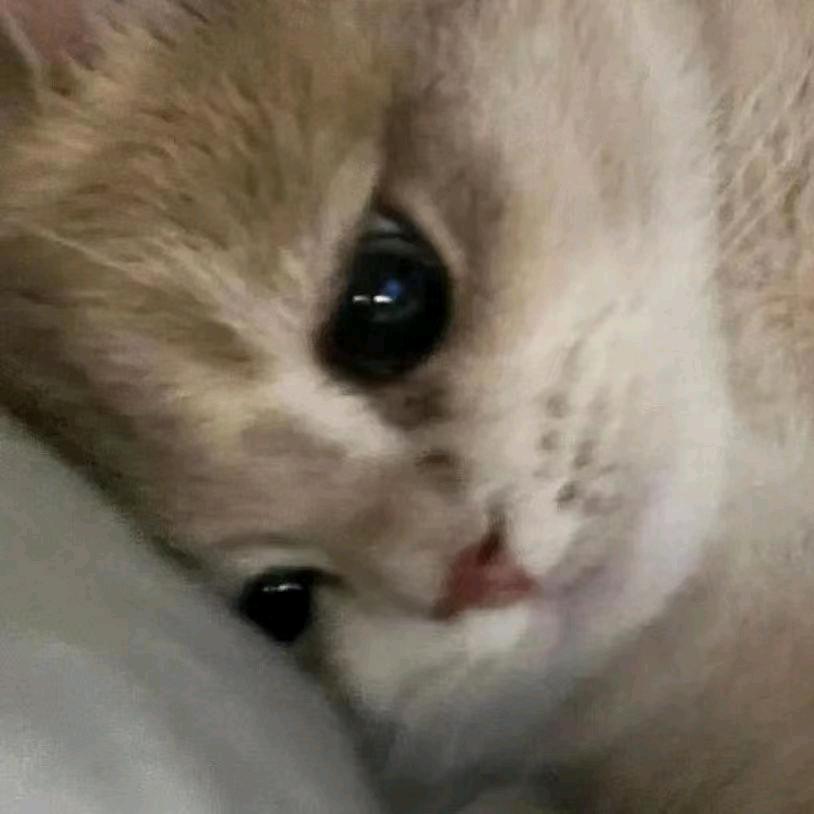要好好睡觉💤