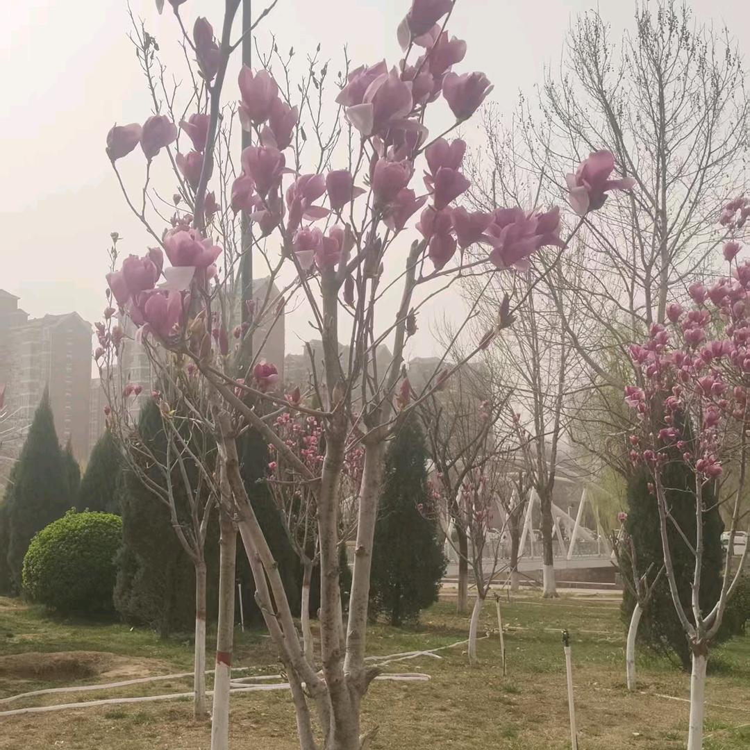爱情不分年龄，比我老婆大22我！