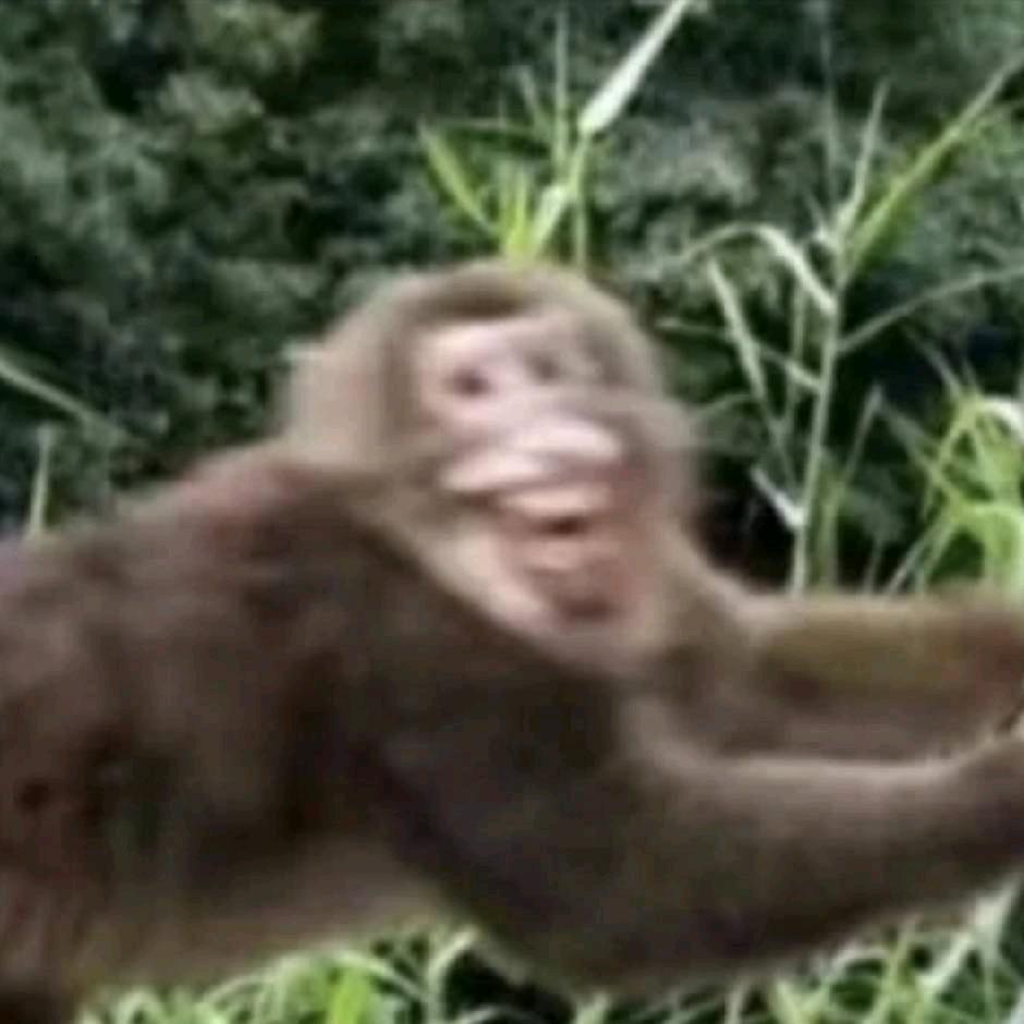 AAA-航天路杨师傅