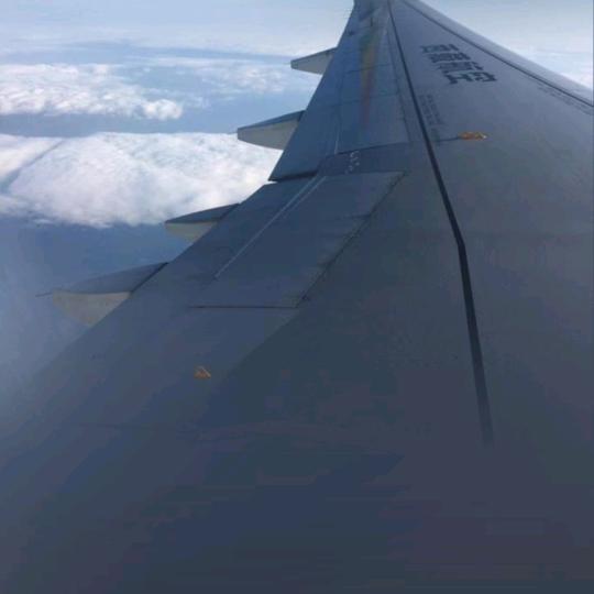 大飞哥