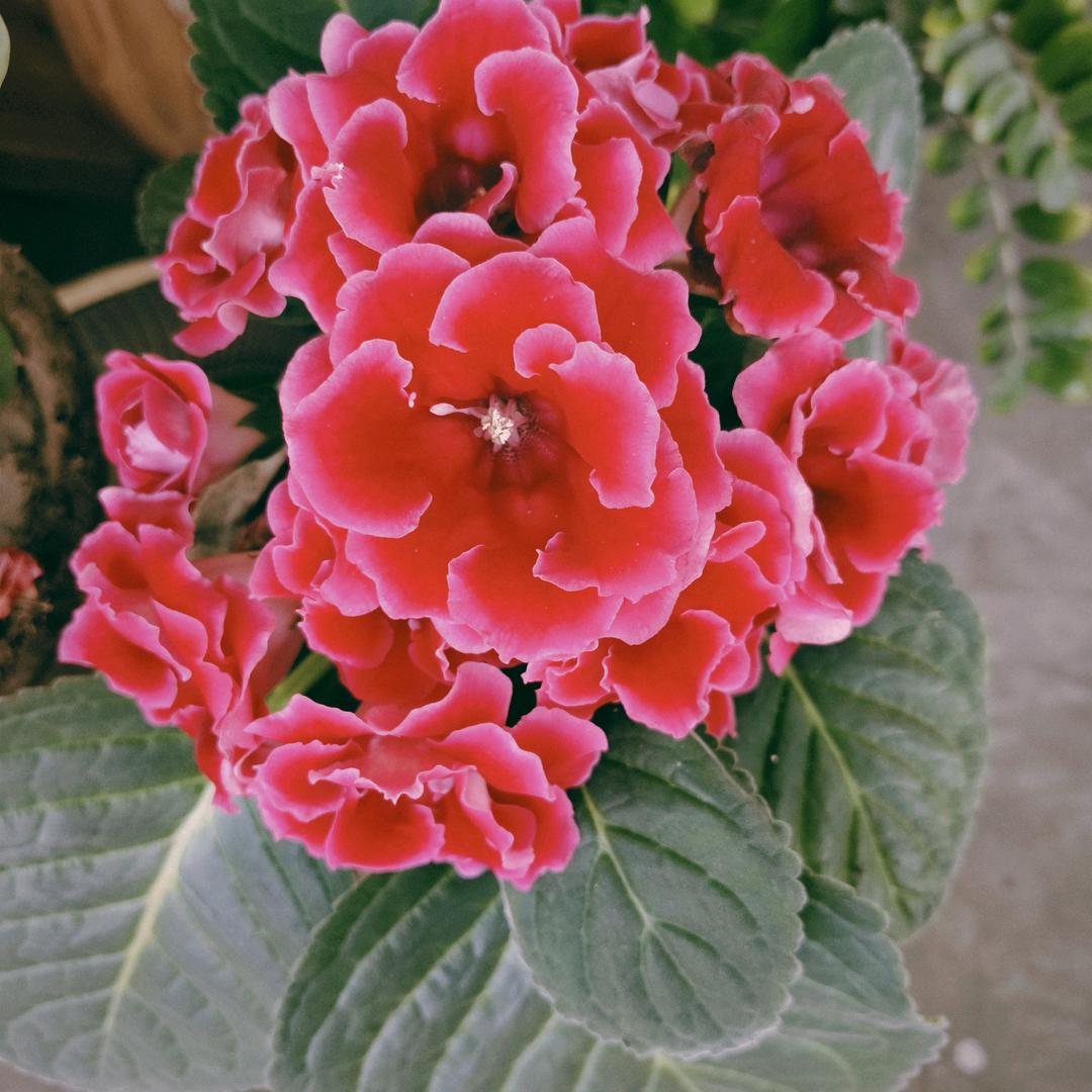 都闪开