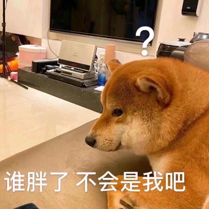 湫貓