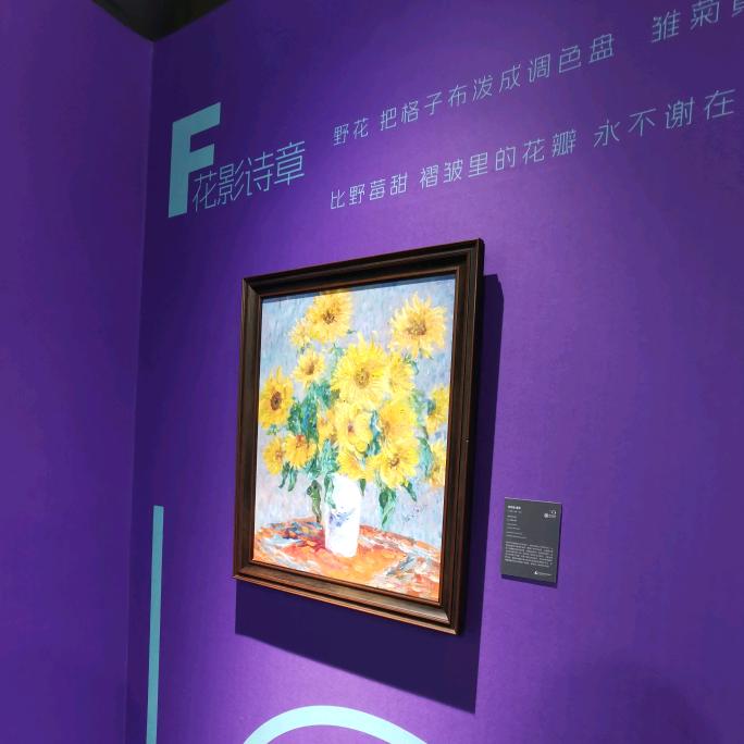 乱七八糟的小瑞