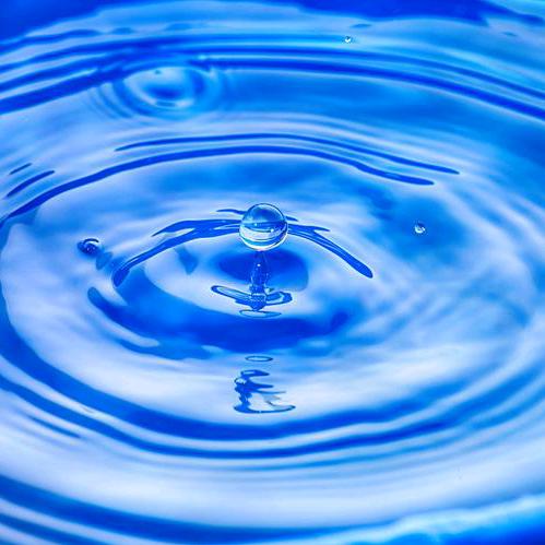 🐍🌸贾先生🌸❤️🙆