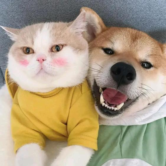 孑涯思故乡