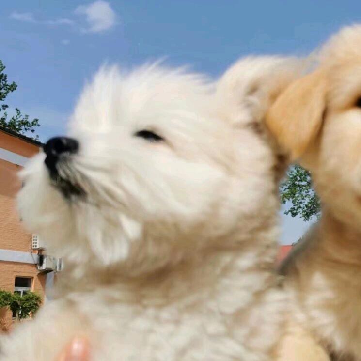 ☀️☀️得7