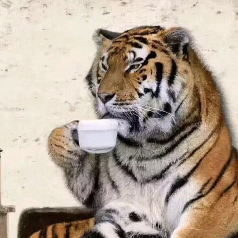 世界