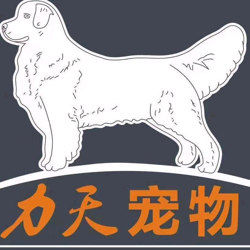 茂名力天宠物