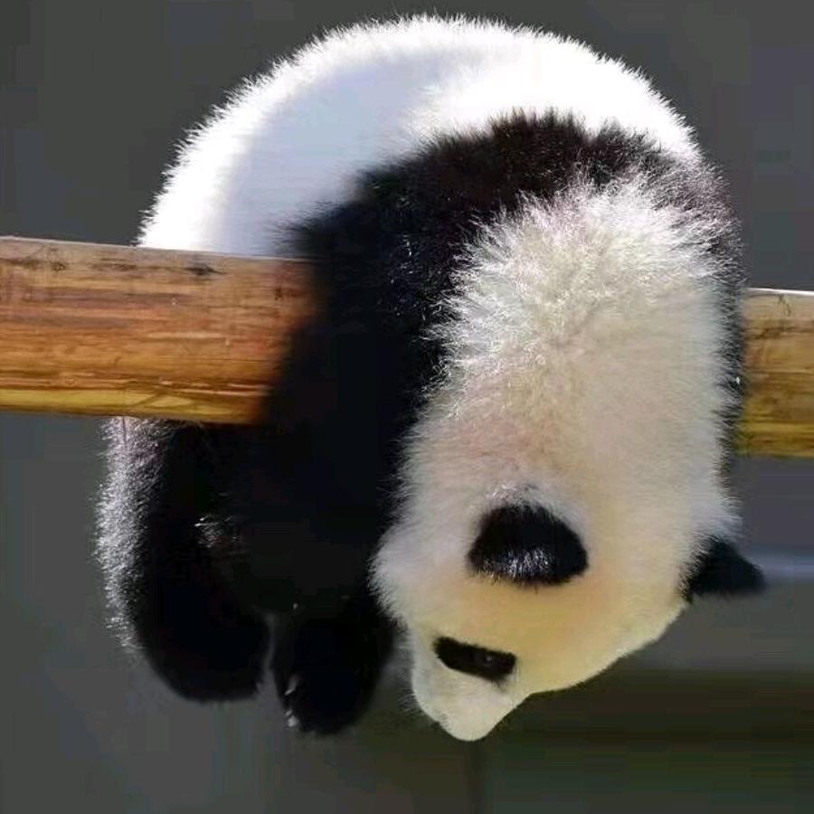 小小角角