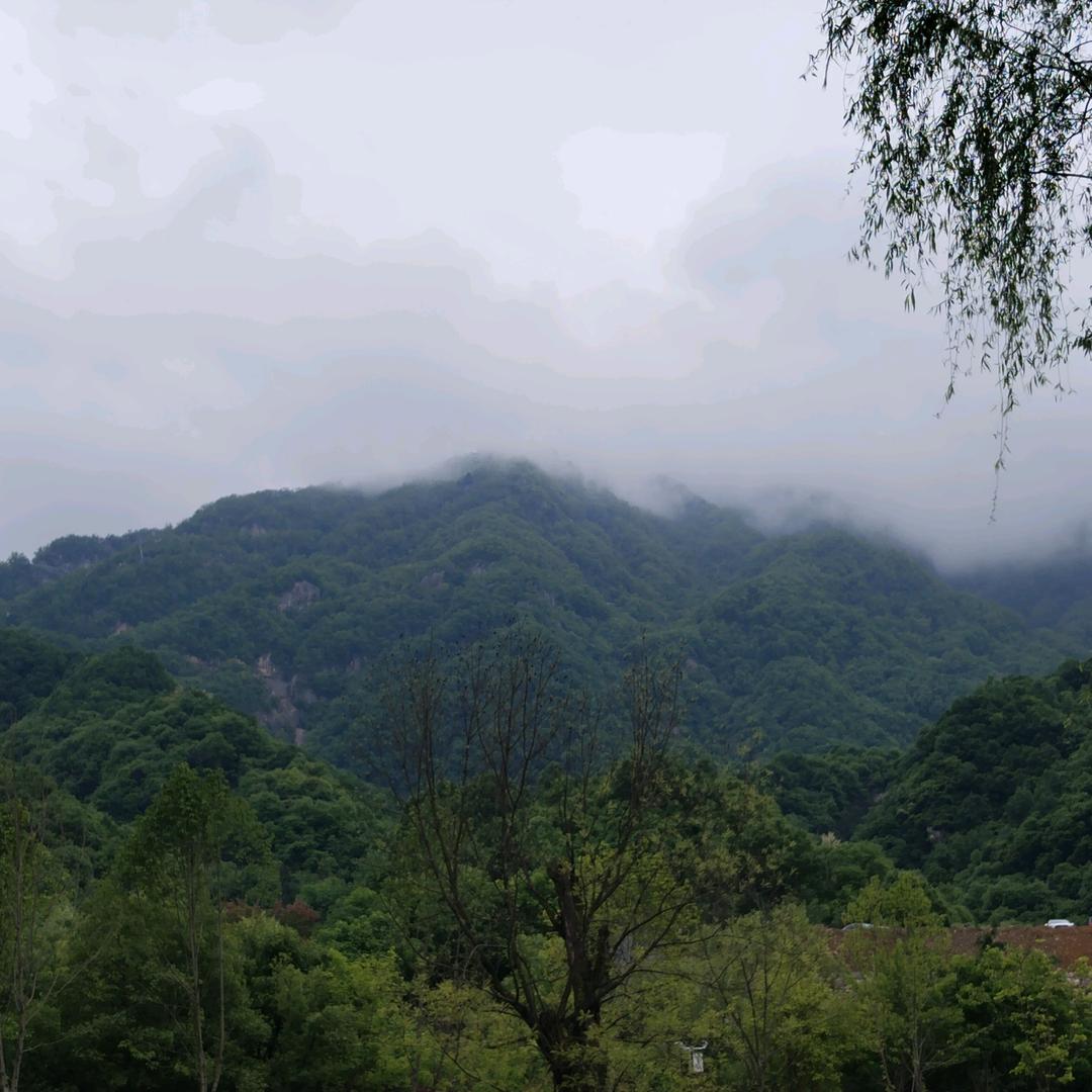 珎暿