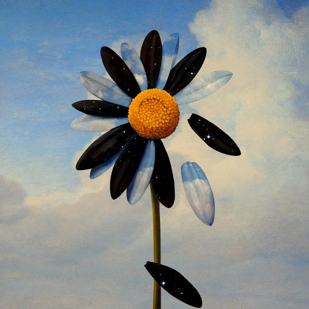 🌞