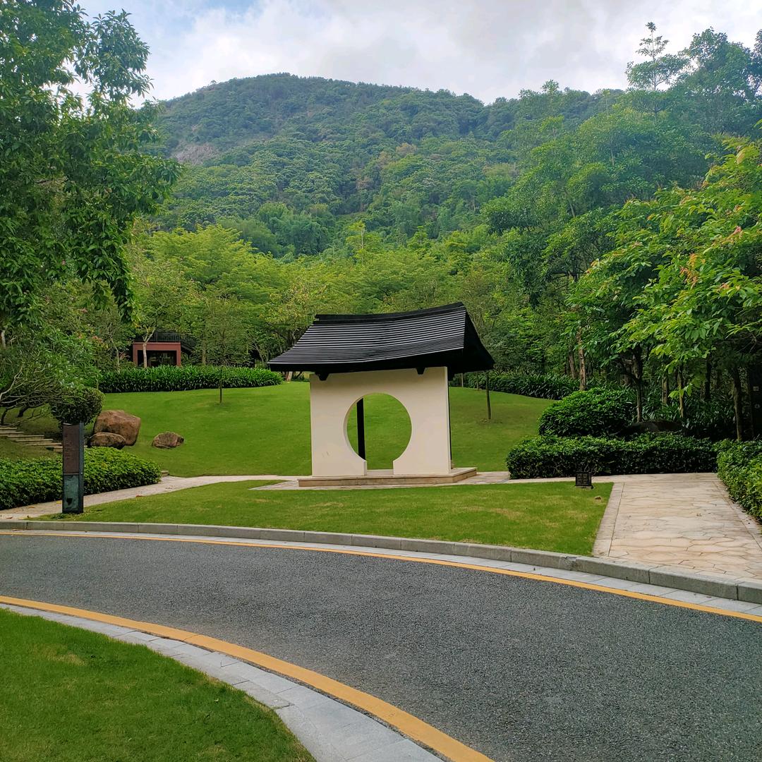 美丽盛发