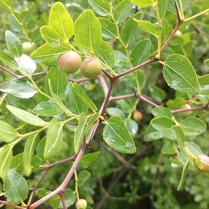 .🦋꧔ꦿ᭄💞富贾一方🦋꧔ꦿ᭄💞