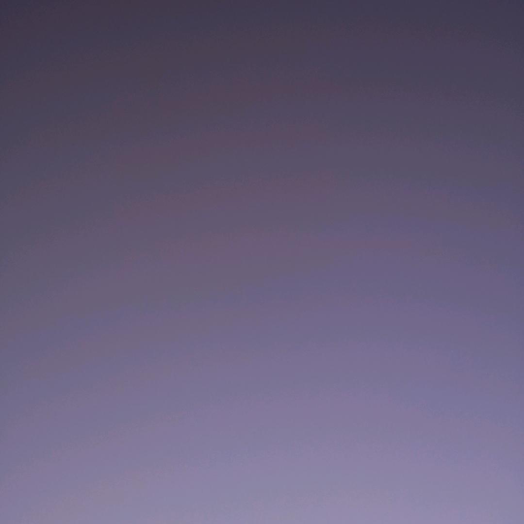 小助理（团队招新）