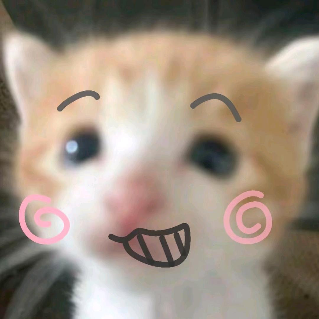 拾叁ss.