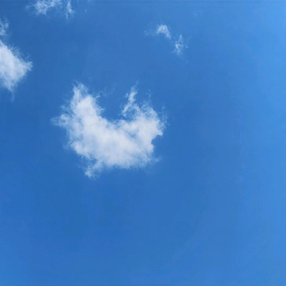 只因