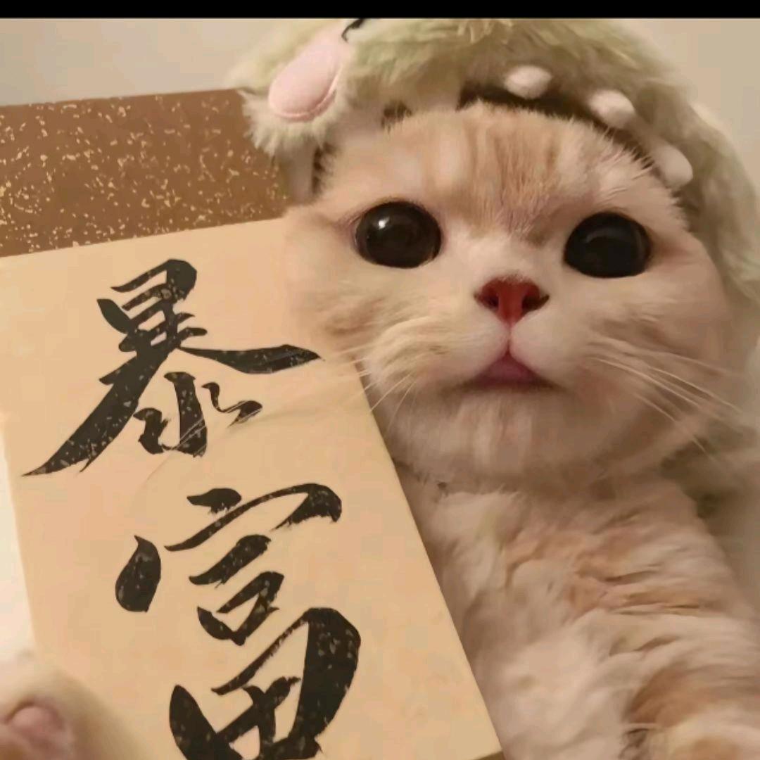 是桐呀  („ಡωಡ„)