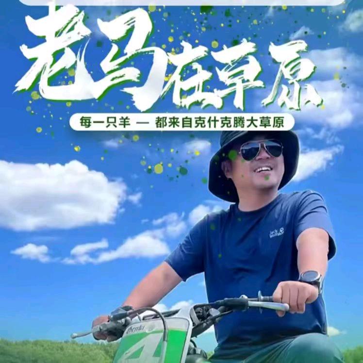 老马在草原欢迎您