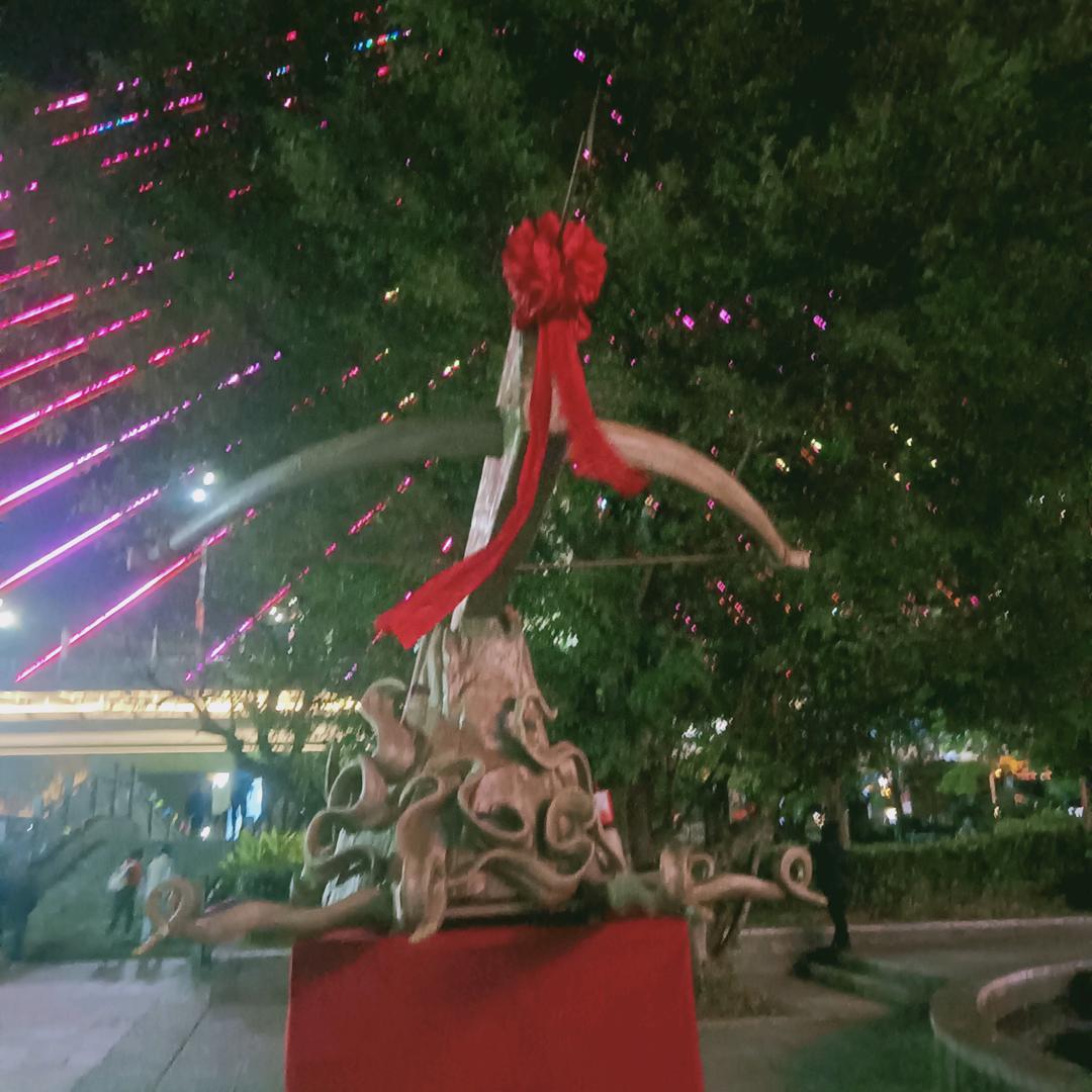 开心花花🌹🌹