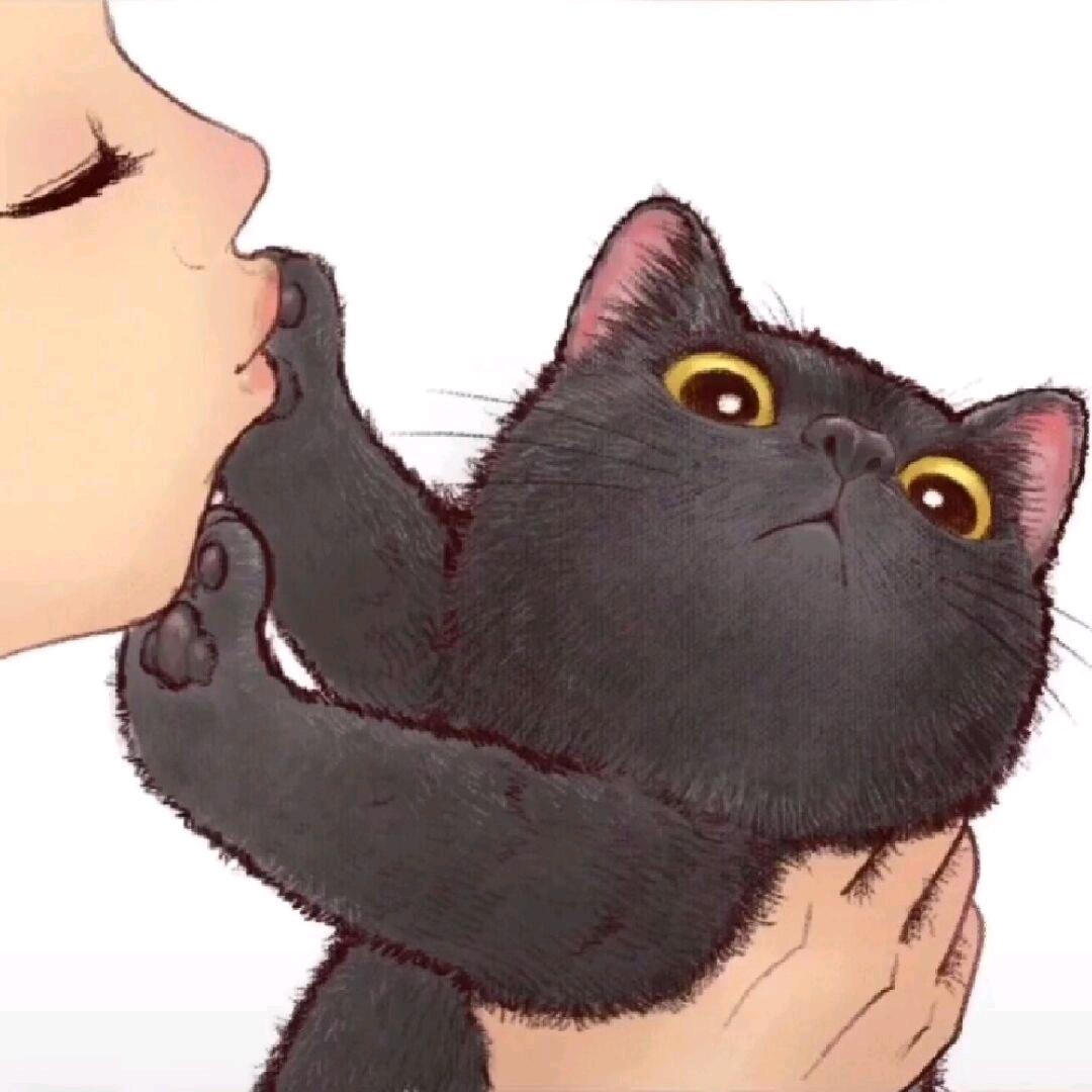 ✨橘色的黑猫✨